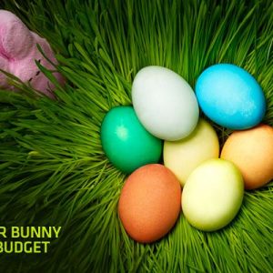 One Debt | Take The First Step | easter_bunny_on_budget_cover